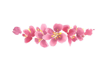 Obraz premium Sakura cherry blossom watercolor horizontal border. Frame decoration element. Spring flower border