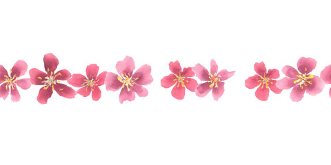 Sakura cherry blossom watercolor seamless horizontal border.
Frame decoration element. Spring flower border