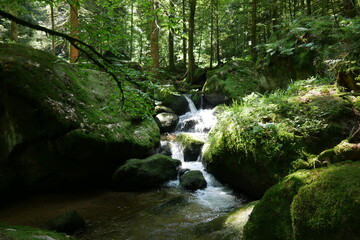Fototapeta na wymiar Wildbach Gertelbachfälle im Schwarzwald