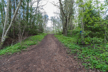 A countryside hiking trail in Sweden