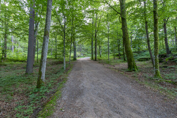 A countryside road nearby Värnamo, Sweden