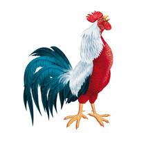 coq français, coq gaulois, coloré, bleu blanc rouge, mascotte, fier, mâle dominant, chant de coq, orgueilleux, drapeau français, coupe du monde, foot, ailes, oiseau, animal, ferme, volaille, coquelet,