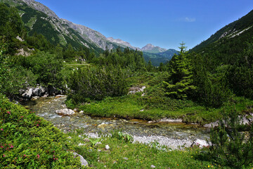 Fototapeta na wymiar Lechquellengebirge beim Formarinbach, Blick zum Warther Horn, Vorarlberg, Österreich