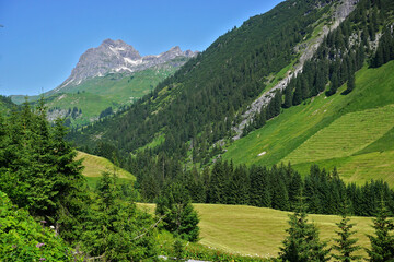 Am Hochtannbergpass, Blick zum Widderstein, Vorarlberg, Österreich