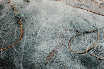 fishnet web trap