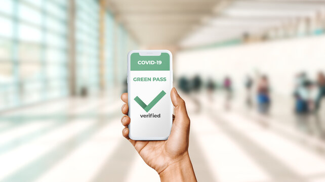 Hand holding a phone with Green Pass verification for covid-19