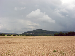 Gieschburg- 2021