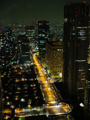 The view by night from Park Hyatt Tokyo