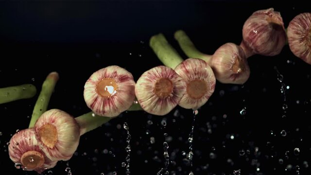 Super slow motion garlic with splashes of water on a black background.Filmed on a high-speed camera at 1000 fps. High quality FullHD footage