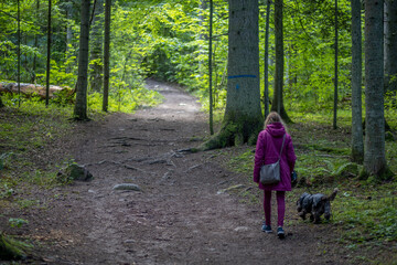 Obraz premium Lost girl walking in her dog in Omberg woodlands, Sweden