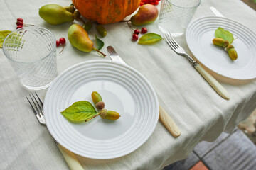 Thanksgiving Day or Halloween dinner table place setting decorative with pumpkin, acorns, pears leaves on white tablecloth background, view from above, top view, flat lay..