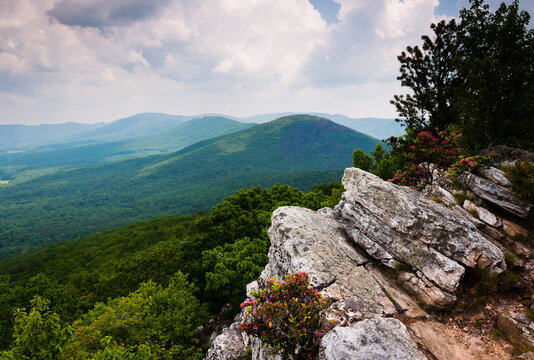 Hiking In George Washington National Forest, Virginia, USA