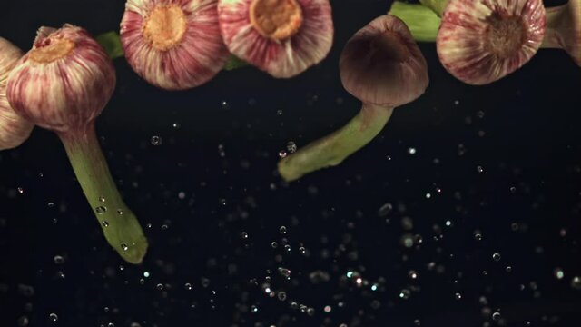 Super slow motion fresh garlic on a black background.Filmed on a high-speed camera at 1000 fps. High quality FullHD footage
