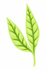 Green leaves. Vector illustration Ecology, natural trend.