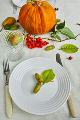 Thanksgiving Day or Halloween dinner table place setting decorative with pumpkin, acorns, pears leaves on white tablecloth background, view from above, top view, flat lay..