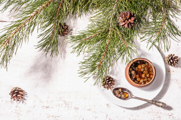 Obraz na płótnie Canvas Sweet pine cone jam. Traditional Siberian dessert, fresh evergreen branches