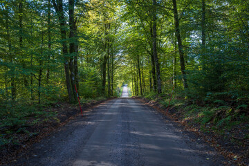 A countryside road at Getaryggarna nearby Värnamo, Sweden