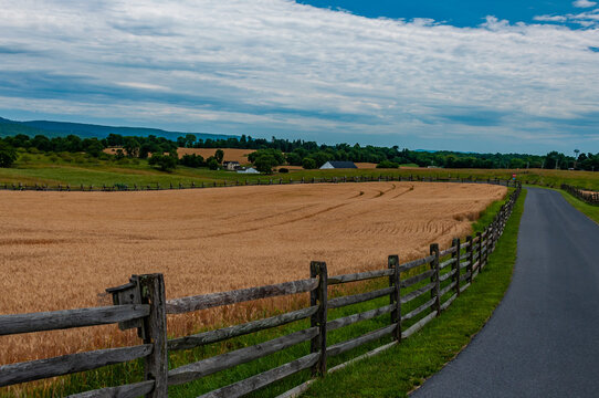 Photo of The Wheatfields of Antietam National Battlefield, Maryland USA