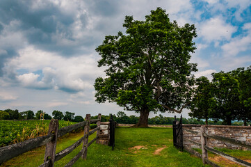 Fototapeta na wymiar Photo of The Path to the Mumma Cemetery, Antietam National Battlefield, Maryland USA