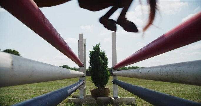 Horse jumping over obstacles. Brown horse leaping fence on grass parkour riding arena, equestrian sport, competition outdoors. Training jumping hurdle. Equestrian rails, Shot on RED