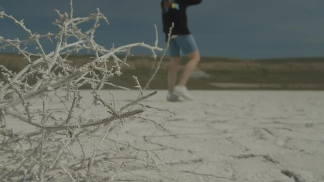 tumbleweed in the desert SLOWMOTION