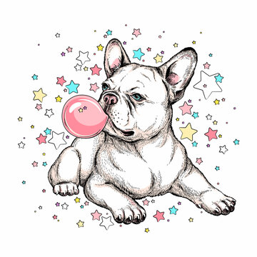 Cute french bulldog on a background of stars. Image for printing on any surface
