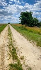 Polna droga wśród upraw rolnych. Obszary wiejskie z uprawami rolnymi w okresie lata.