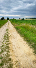 Polna droga wśród upraw rolnych. Obszary wiejskie z uprawami rolnymi w okresie lata.