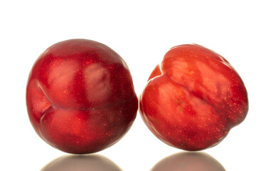 Two juicy sweet, red plums, close-up, isolated on white.