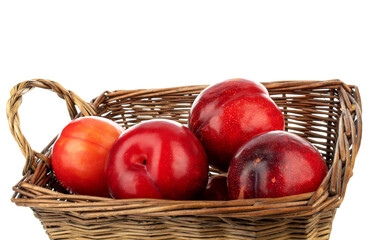Several juicy sweet, red plums in a basket, close-up, isolated on white.