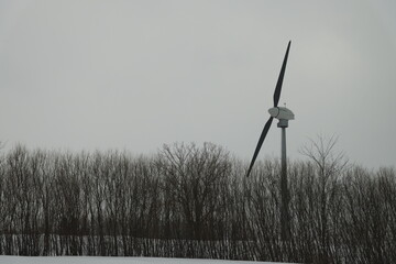 wind turbine in the field