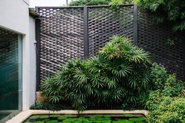 green garden and wood wall