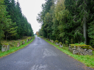 Obraz premium A panorama of a country road through forest landscape in Värnamo, Sweden