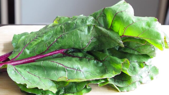 Beets foliage, green leafes of beet on the kitchen table. Close-up of beet tops, video 4k resolution