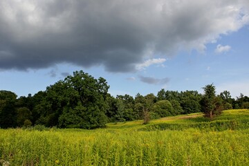 Fototapeta na wymiar Landscape plain sky clouds grass trees