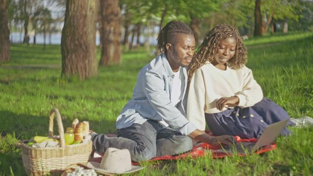 Afro-american couple in love shopping online on laptop, resting in park, date