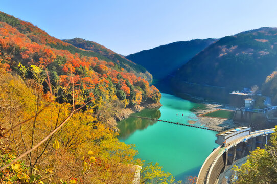 日本　京都府宇治市にある天ケ瀬（あまがせ）ダムの紅葉の風景
