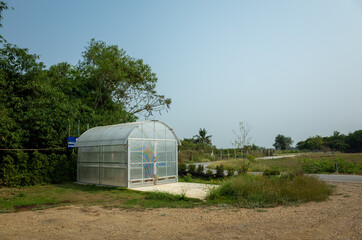 glass house