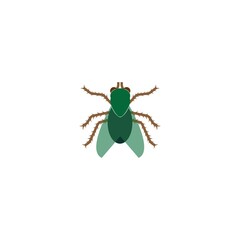 Insect icon