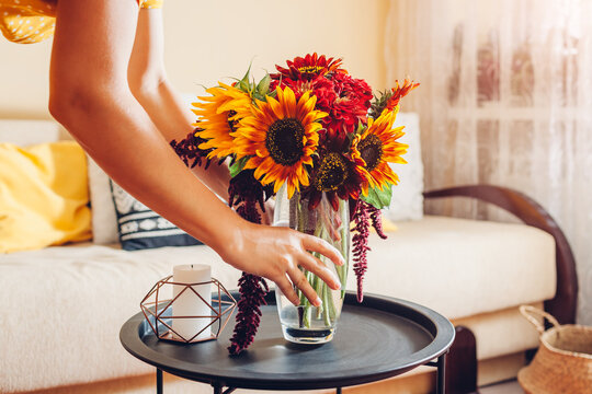 Woman puts vase with sunflowers and zinnia flowers on table. Housewife takes care of interior and fall decor at home.