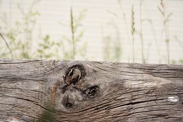 A horizontal template for the layout. Wooden pedestal with cracks on a green background. A flat rectangular stand or podium for a natural design concept. High quality photo