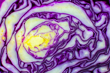 Purple or red cabbage texture inside, Natural eco background. Beautiful wallpaper. Macro photo.