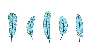 Set of different bird feathers. Color vector illustration of flat outline style. White isolated background.
