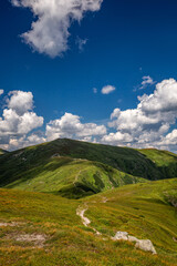 Beautiful view of the Carpathian mountains in summer.