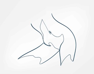 body girl line art single line isolated vector illustration abstract