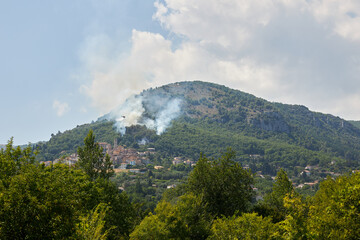 Fototapeta premium Forest Fire In The Rocky Mountains