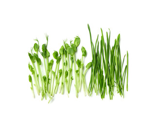 Green grass on white background