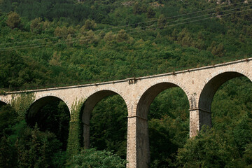 Fototapeta na wymiar old brick bridge viaduct in the woods