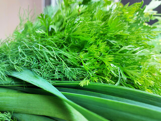 close-up of fresh juicy greens for salad