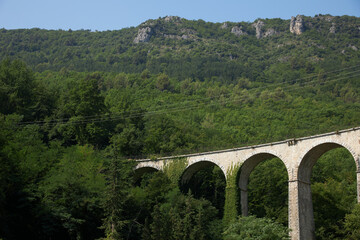 Fototapeta na wymiar old brick bridge viaduct in the woods
